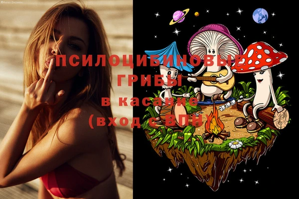 меф Медвежьегорск