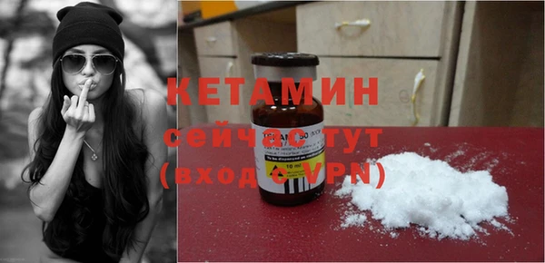 прущие грибы Михайлов