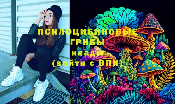 прущие грибы Михайлов