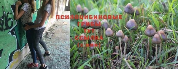 spice Медногорск