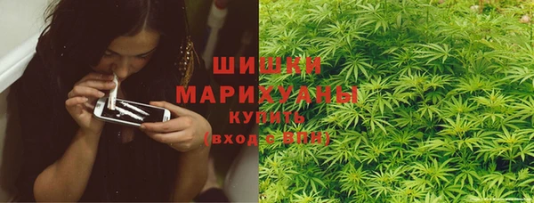 сатива Михайловск