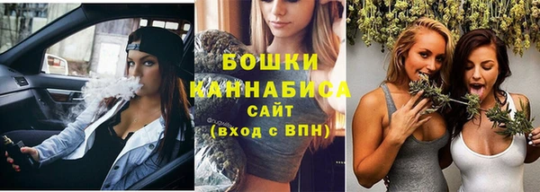 прущие грибы Михайлов