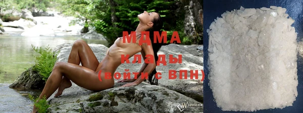 прущие грибы Михайлов