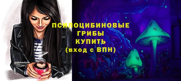 меф Медвежьегорск
