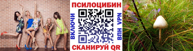 Галлюциногенные грибы прущие грибы  Севастополь 