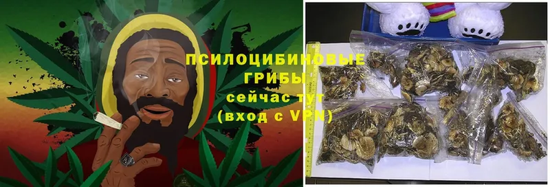 Галлюциногенные грибы MAGIC MUSHROOMS  Севастополь 