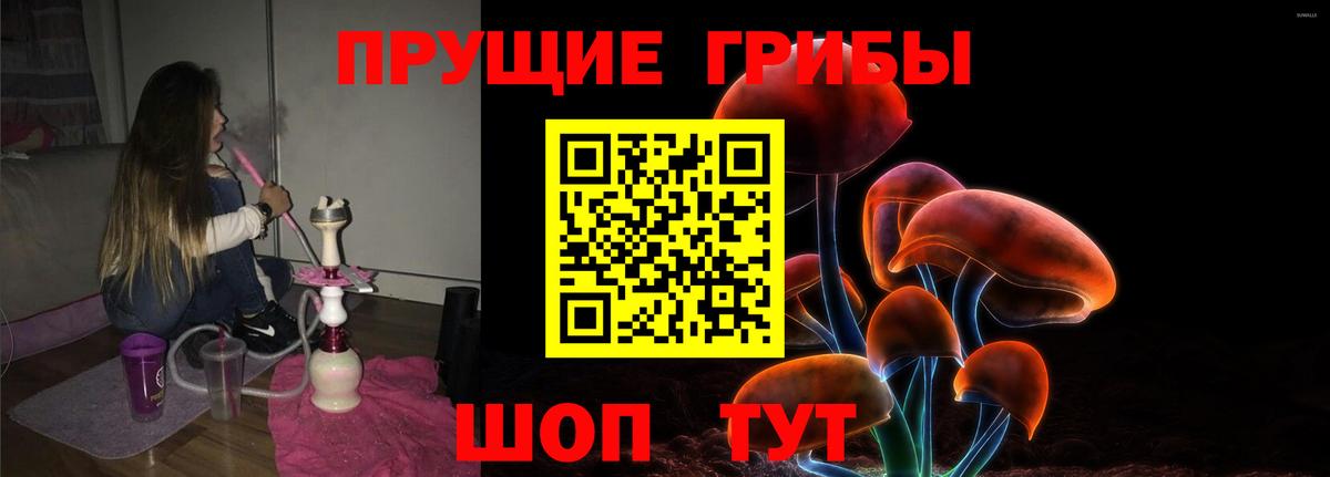 Севастополь  Галлюциногенные грибы ЛСД  Вход с VPN 